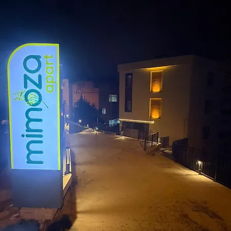 Mimoza *