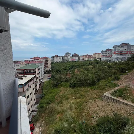 Mimoza Trabzon