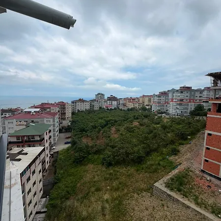 Mimoza Trabzon